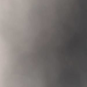 Meet your Posher, Lonnie